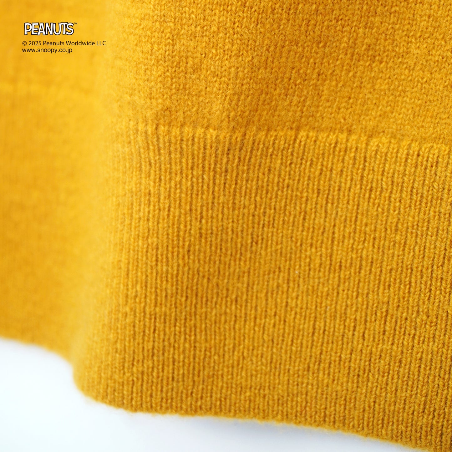【PEANUTS × CASHYAGE】CHARLLE BROWNセーター