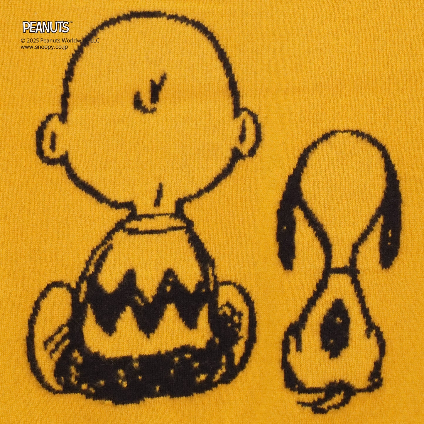 【PEANUTS × CASHYAGE】CHARLLE BROWNセーター