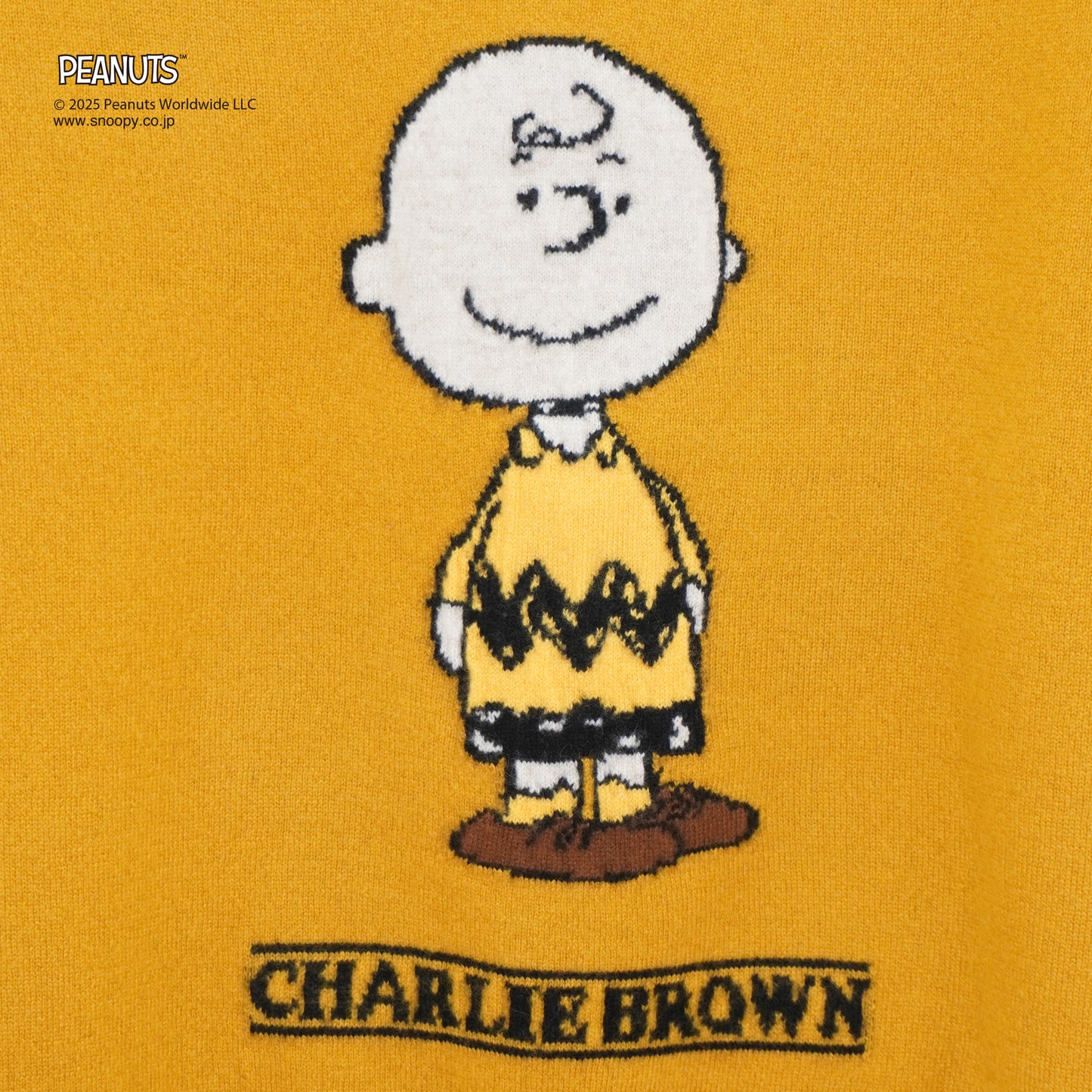 【PEANUTS × CASHYAGE】CHARLLE BROWNセーター